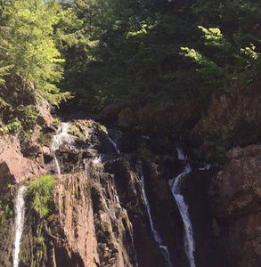 Meet your Posher, Wateen